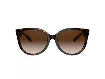 Coach C6181 Lunettes de Soleil HC 8321 51203B