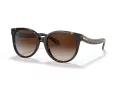Coach C6181 Lunettes de Soleil HC 8321 51203B