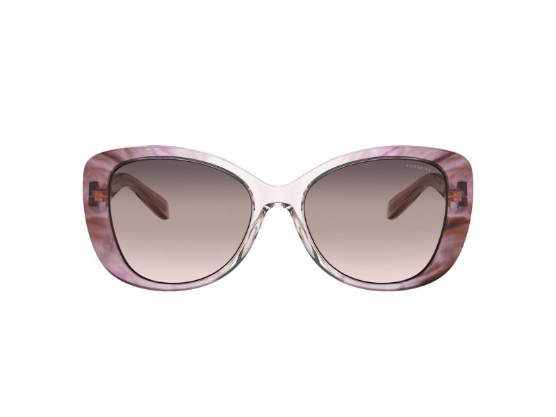 Coach C6183 Lunettes de Soleil HC 8322 5656U8