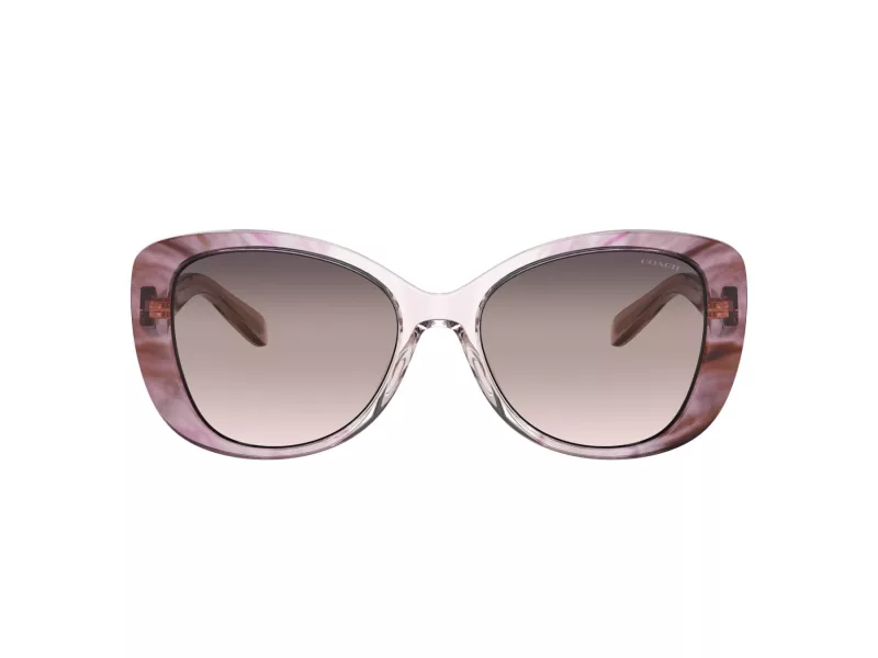 Coach C6183 Lunettes de Soleil HC 8322 5656U8