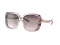 Coach C6185 Lunettes de Soleil HC 8323U 5656U8