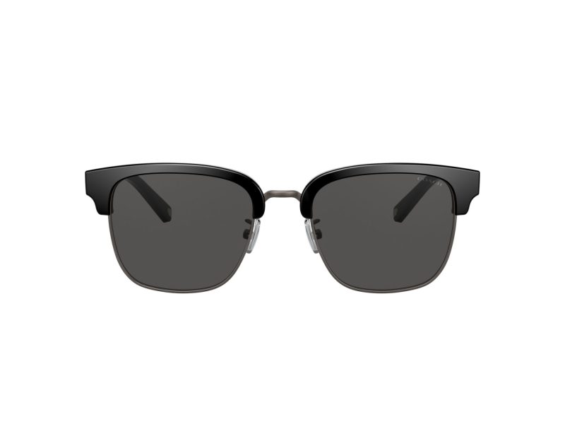 Coach C6194 Lunettes de Soleil HC 8326 500287