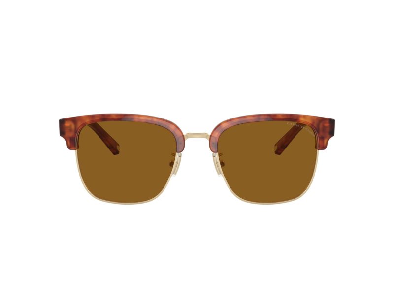 Coach C6194 Lunettes de Soleil HC 8326 577483
