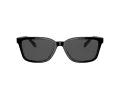 Coach C6196 Lunettes de Soleil HC 8328U 500287