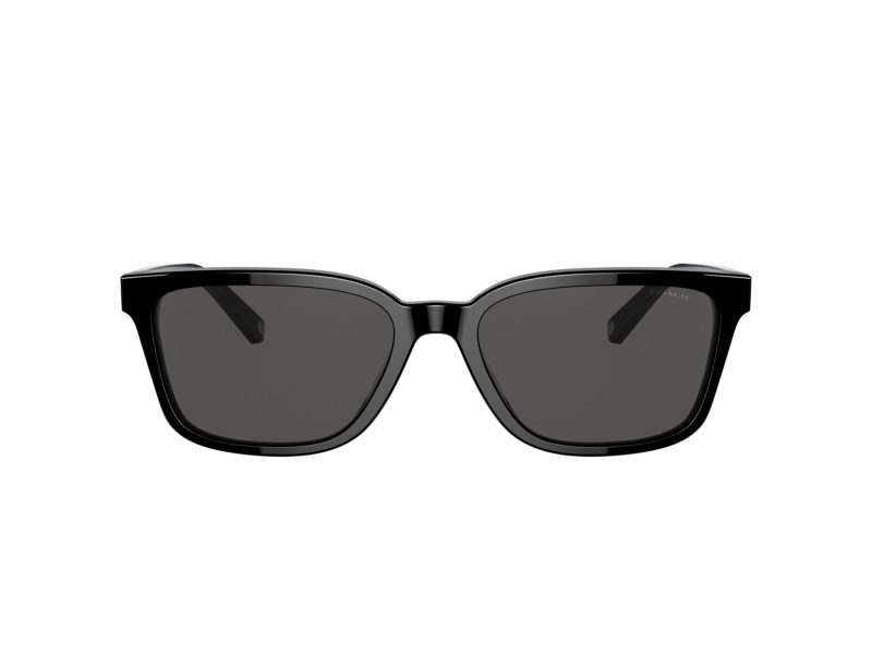 Coach C6196 Lunettes de Soleil HC 8328U 500287