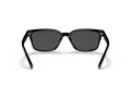 Coach C6196 Lunettes de Soleil HC 8328U 500287