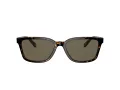 Coach C6196 Lunettes de Soleil HC 8328U 512003