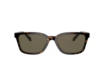 Coach C6196 Lunettes de Soleil HC 8328U 512003