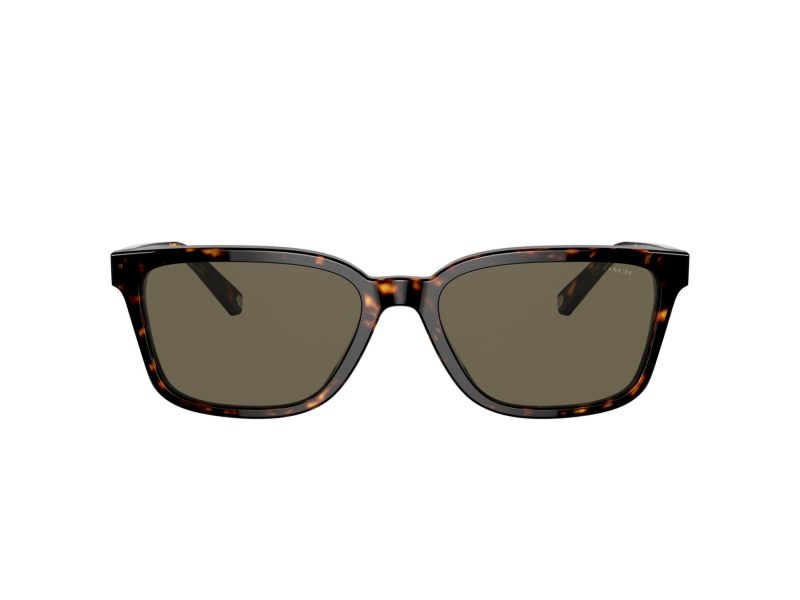 Coach C6196 Lunettes de Soleil HC 8328U 512003