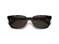 Coach C6196 Lunettes de Soleil HC 8328U 512003