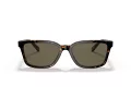 Coach C6196 Lunettes de Soleil HC 8328U 512003