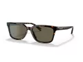 Coach C6196 Lunettes de Soleil HC 8328U 512003