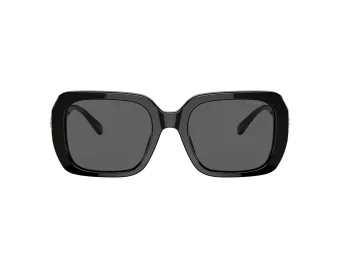 Coach C6188 Lunettes de Soleil HC 8329U 500287