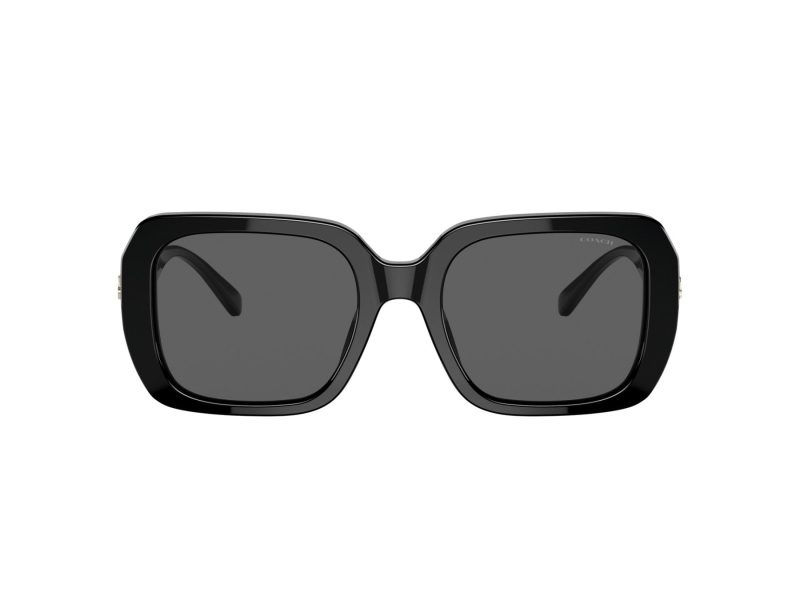 Coach C6188 Lunettes de Soleil HC 8329U 500287