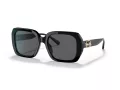Coach C6188 Lunettes de Soleil HC 8329U 500287