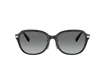 Coach C6199 Lunettes de Soleil HC 8332D 500211