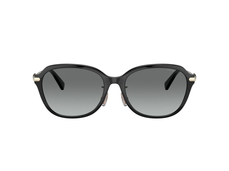 Coach C6199 Lunettes de Soleil HC 8332D 500211