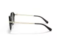 Coach C6199 Lunettes de Soleil HC 8332D 500211