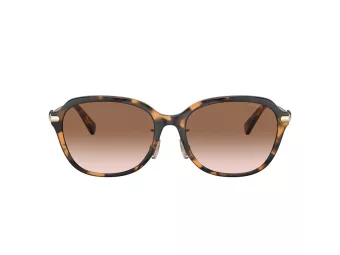 Coach C6199 Lunettes de Soleil HC 8332D 512013