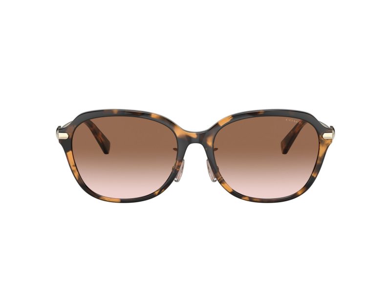Coach C6199 Lunettes de Soleil HC 8332D 512013