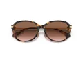 Coach C6199 Lunettes de Soleil HC 8332D 512013