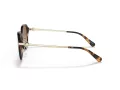 Coach C6199 Lunettes de Soleil HC 8332D 512013