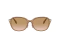 Coach C6199 Lunettes de Soleil HC 8332D 565413
