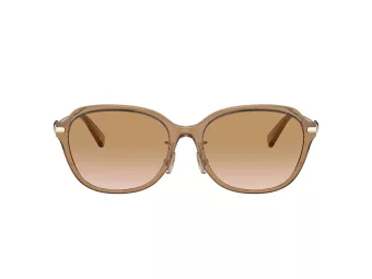 Coach C6199 Lunettes de Soleil HC 8332D 565413