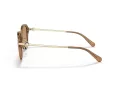 Coach C6199 Lunettes de Soleil HC 8332D 565413