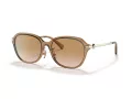 Coach C6199 Lunettes de Soleil HC 8332D 565413