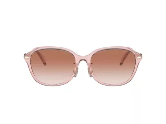 Coach C6199 Lunettes de Soleil HC 8332D 566613