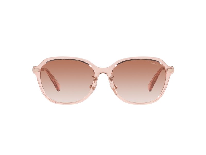 Coach C6199 Lunettes de Soleil HC 8332D 566613