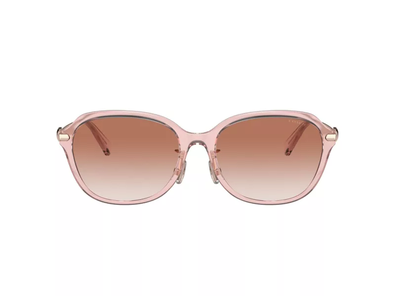 Coach C6199 Lunettes de Soleil HC 8332D 566613