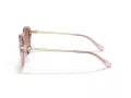 Coach C6199 Lunettes de Soleil HC 8332D 566613