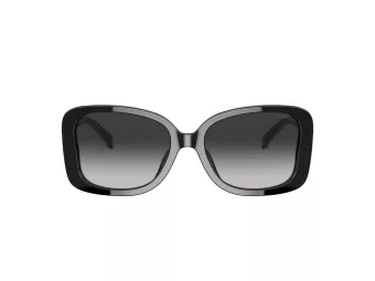 Coach C7994 Lunettes de Soleil HC 8334U 50023C