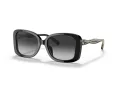 Coach C7994 Lunettes de Soleil HC 8334U 50023C