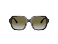 Coach C7989 Lunettes de Soleil HC 8335U 50027Z