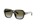 Coach C7989 Lunettes de Soleil HC 8335U 50027Z