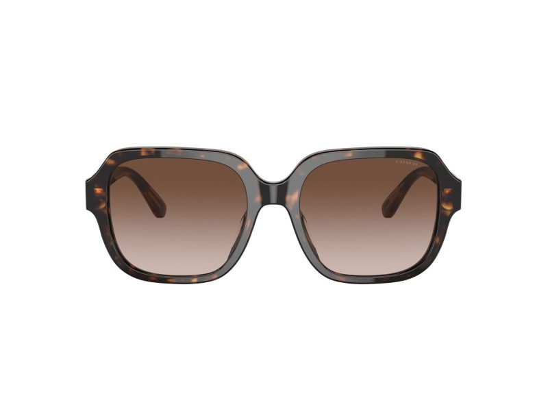 Coach C7989 Lunettes de Soleil HC 8335U 512013