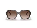 Coach C7989 Lunettes de Soleil HC 8335U 512013