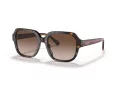 Coach C7989 Lunettes de Soleil HC 8335U 512013