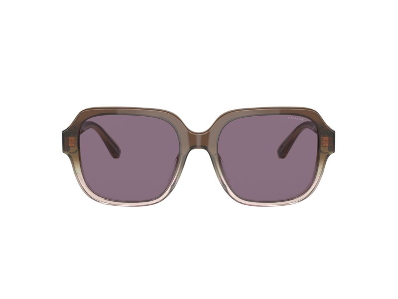 Coach C7989 Lunettes de Soleil HC 8335U 56781A