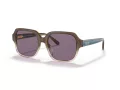 Coach C7989 Lunettes de Soleil HC 8335U 56781A