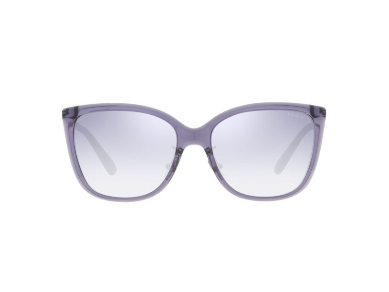 Coach C9206 Lunettes de Soleil HC 8345 56657B