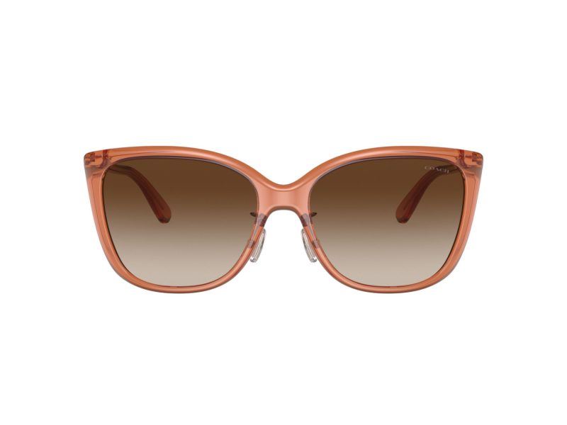 Coach C9206 Lunettes de Soleil HC 8345 570013