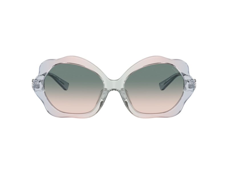 Coach C9200 Lunettes de Soleil HC 8346BU 56422C
