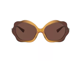 Coach C9200 Lunettes de Soleil HC 8346BU 57016G