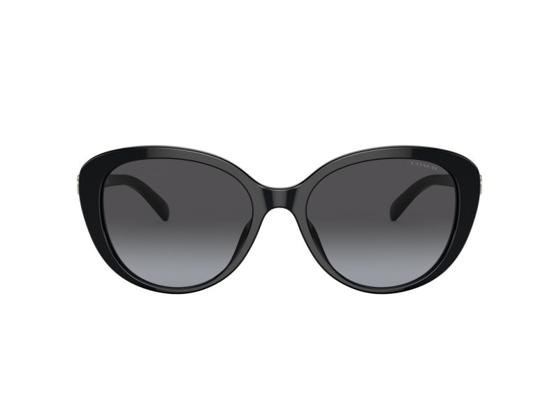 Coach Cd479 Lunettes de Soleil HC 8348U 50028G