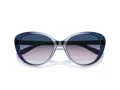Coach Cd479 Lunettes de Soleil HC 8348U 57088H