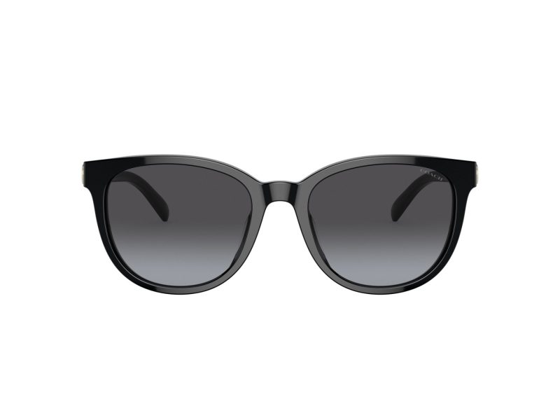 Coach Cd478 Lunettes de Soleil HC 8350U 50028G